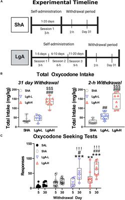 Prolonged Withdrawal From Escalated Oxycodone Is Associated With Increased Expression of Glutamate Receptors in the Rat Hippocampus